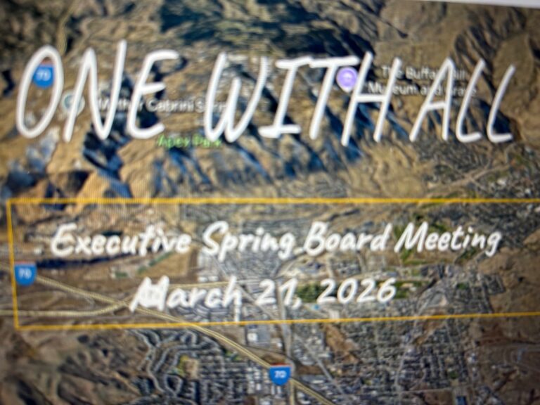 Spring Board Photo Gallery